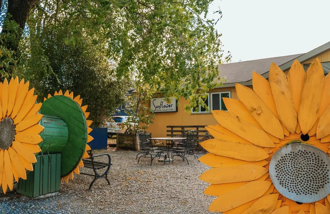 The Iris Motel-1